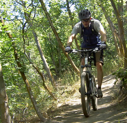 Zoic Emphatic Jersey Review