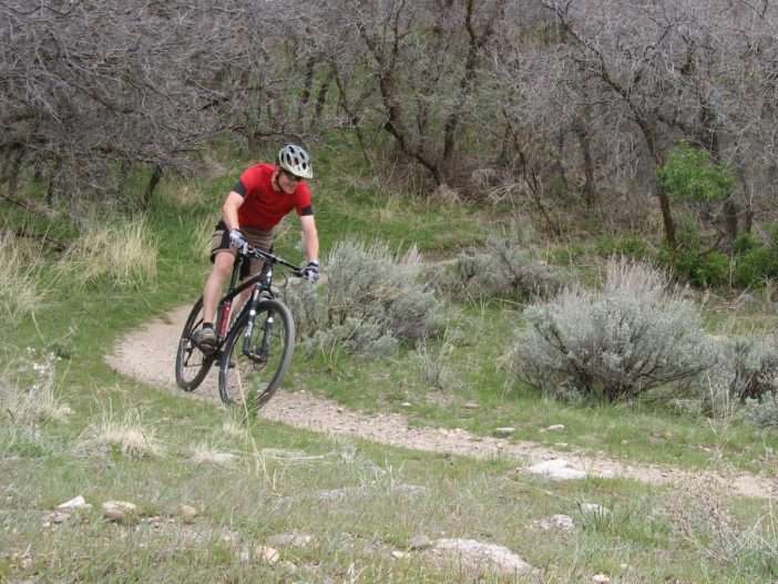 2010 Specialized Stumpjumper Carbon Expert 29 Review