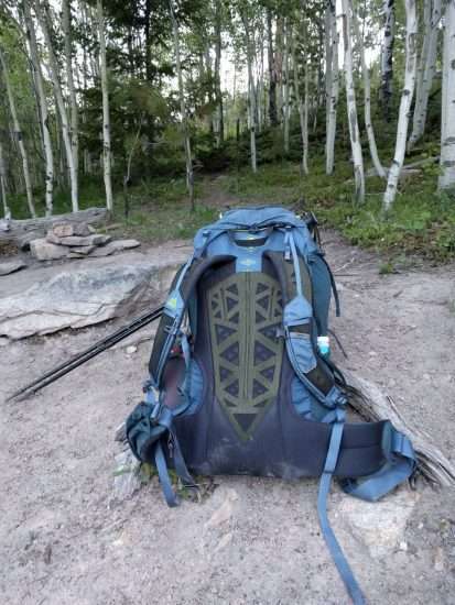 Paragon 48 pack hotsell
