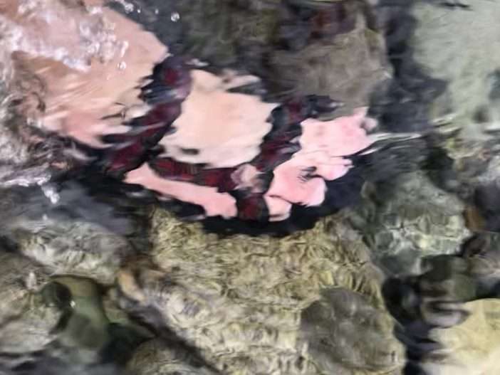 Sandals under water